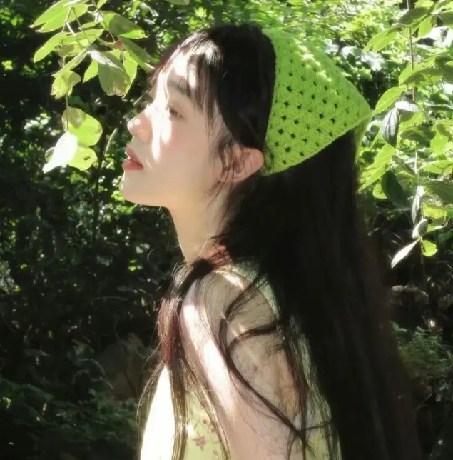 洪拳小子